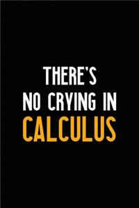 There's No Crying In Calculus