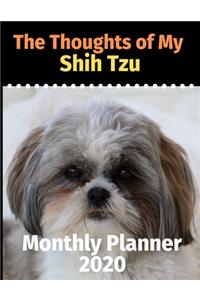 The Thoughts of My Shih Tzu