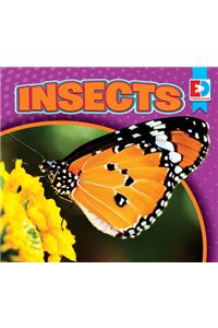 Insects