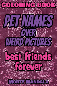 Coloring Book - Pet Names over Weird Pictures - Draw Your Imagination