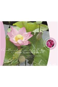 A Paradise in the City