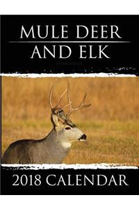 Mule Deer & Elk