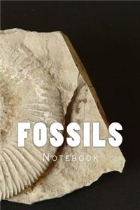 Fossils