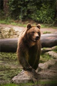 Bear Notebook