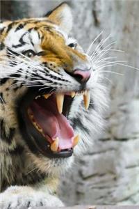 Tiger Notebook