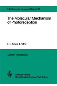 Molecular Mechanism of Photoreception