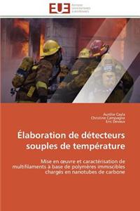 Élaboration de Détecteurs Souples de Température