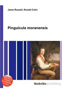 Pinguicula Moranensis