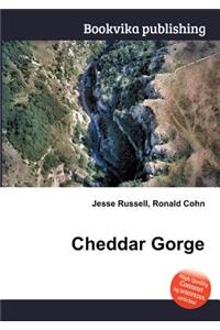 Cheddar Gorge