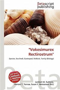 Vokesimurex Rectirostrum''