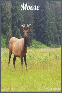 Moose 2021 Calendar