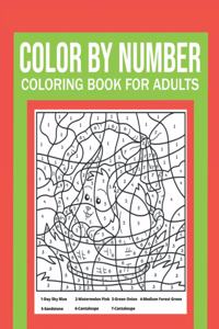 Color By Number Coloring Book For Adults