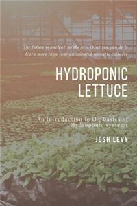 Hydroponic Lettuce