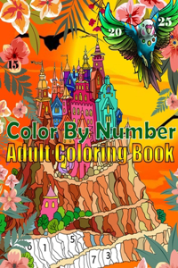 Color By Number Adult Coloring Book