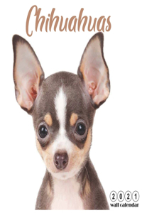 Chihuahuas 2021 Wall Calendar