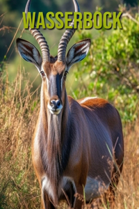 Wasserbock