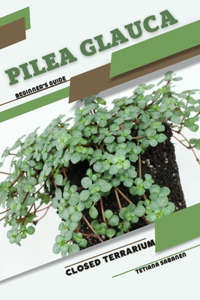 Pilea glauca
