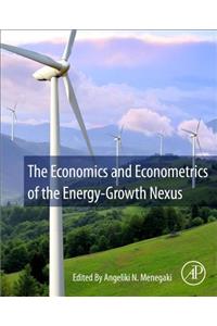 Economics and Econometrics of the Energy-Growth Nexus