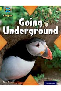 Project X Origins: Lime Book Band, Oxford Level 11: Underground: Going Underground