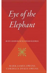 Eye of the Elephant