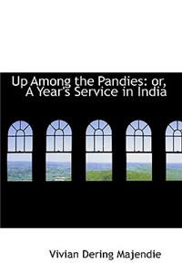 Up Among the Pandies
