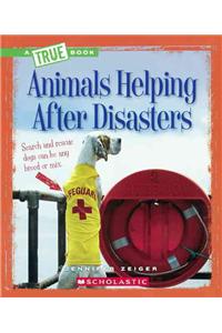 Animals Helping After Disasters