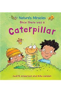 Once there was a Caterpillar