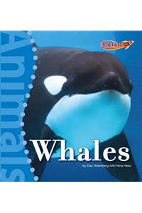 Whales