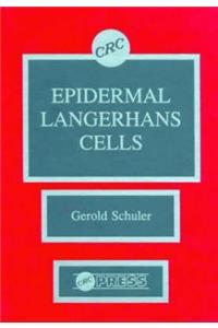 Epidermal Langerhans Cells