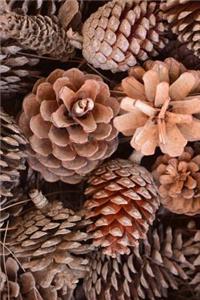 Pine Cone Harvest Journal: Take Notes, Write Down Memories in this 150 Page Lined Journal