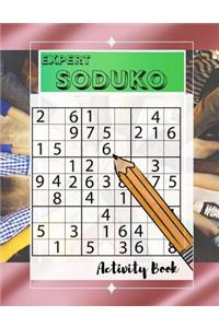 Expert Soduko Activity Book