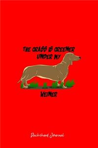 Dachshund Journal