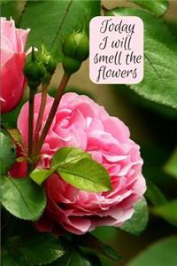 Today I will smell the flowers