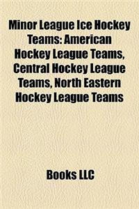 Minor League Ice Hockey Teams