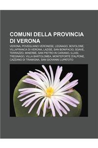 Comuni Della Provincia Di Verona