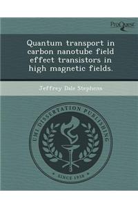 Quantum Transport in Carbon Nanotube Field Effect Transistors in High Magnetic Fields