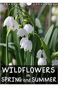 Wildflowers in Spring and Summer 2017