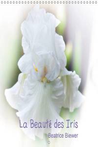 Beaute Des Iris 2017