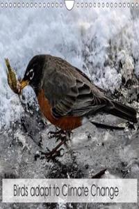 Birds Adapt to Climate Change 2018