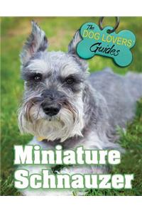 Miniature Schnauzer