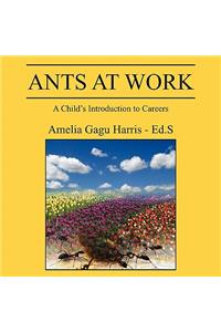 Ants at Work