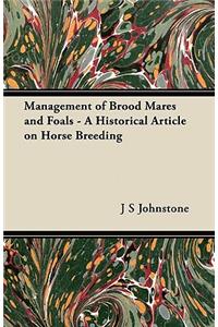 Management of Brood Mares and Foals - A Historical Article on Horse Breeding