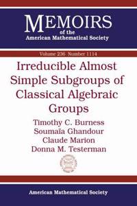 Irreducible Almost Simple Subgroups of Classical Algebraic Groups