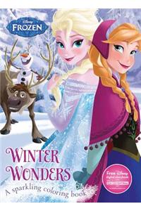 Disney Frozen Winter Wonders