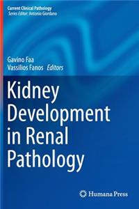 Kidney Development in Renal Pathology