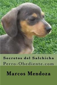 Secretos del Salchicha