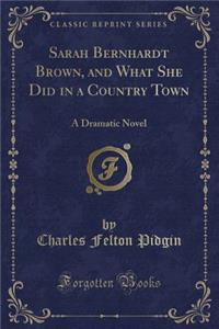 Sarah Bernhardt Brown, and What She Did in a Country Town: A Dramatic Novel (Classic Reprint)