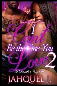 I Can't Be The One You Love 2