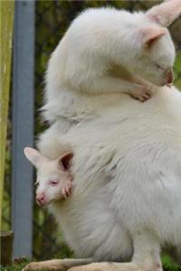 Sweet Mom and Baby Albino Wallaby and Joey Animal Journal