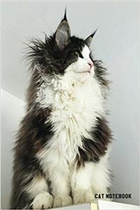 Cat Notebook
